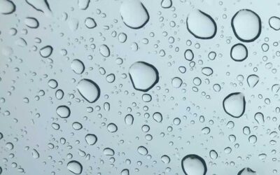 Predigt zu Lukas 14,25–35 im Taufgottesdienst