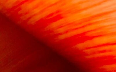 Predigt zu Johannes 14,15–19.23b-27 – Pfingstsonntag 2025