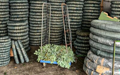 Was ohne das Christentum fehlt