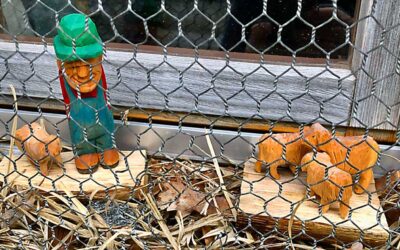 Predigt zu Johannes 10, 11–16.27–28 (Misericordias Domini 2025)